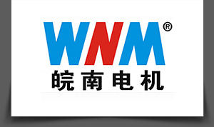 安徽皖南电机股份有限公司