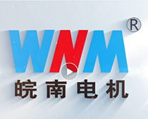 安徽皖南电机股份有限公司宣传片（2024）正式发布